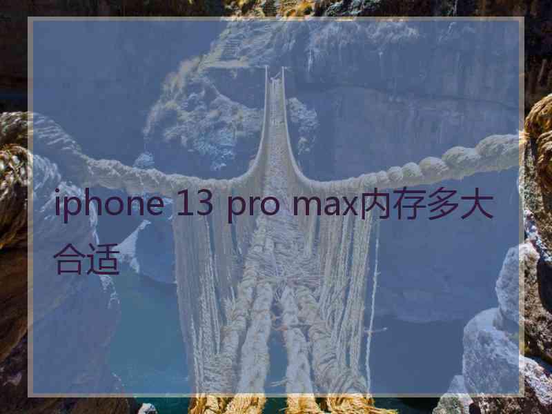 iphone 13 pro max内存多大合适