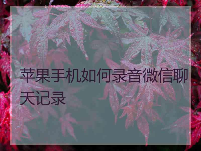 苹果手机如何录音微信聊天记录