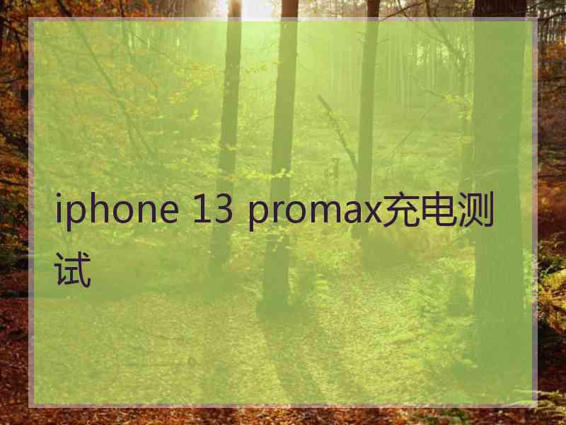 iphone 13 promax充电测试