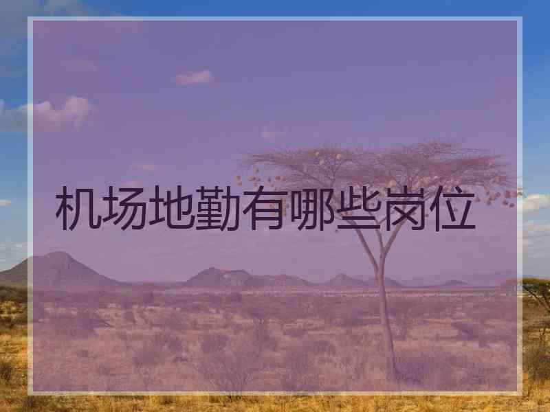 机场地勤有哪些岗位