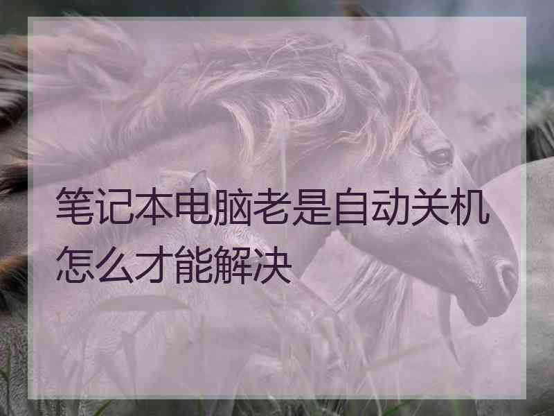 笔记本电脑老是自动关机怎么才能解决