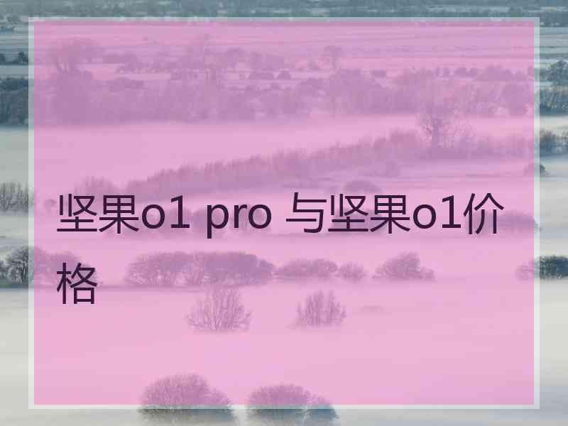 坚果o1 pro 与坚果o1价格