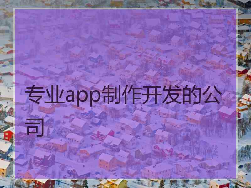 专业app制作开发的公司