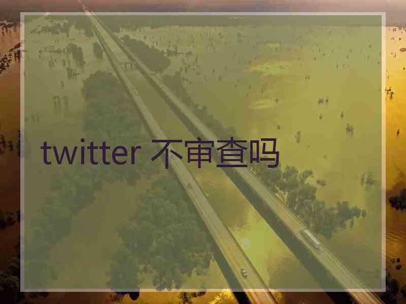 twitter 不审查吗