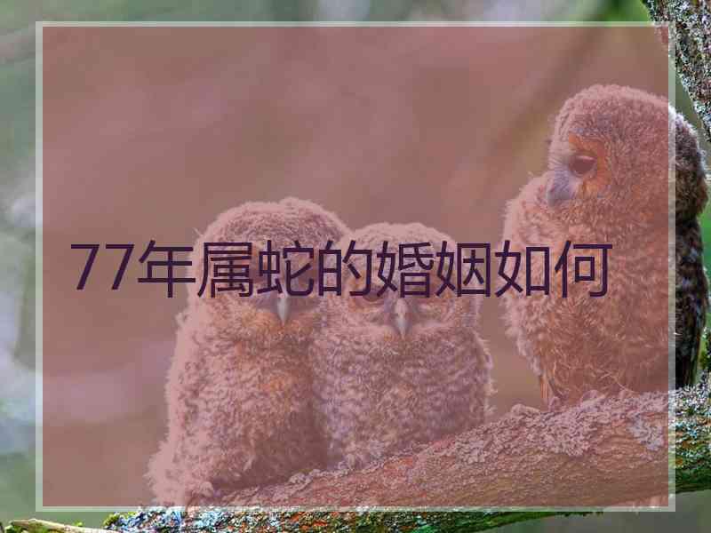 77年属蛇的婚姻如何