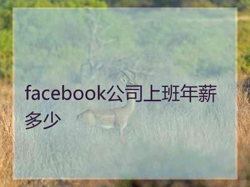 facebook公司上班年薪多少