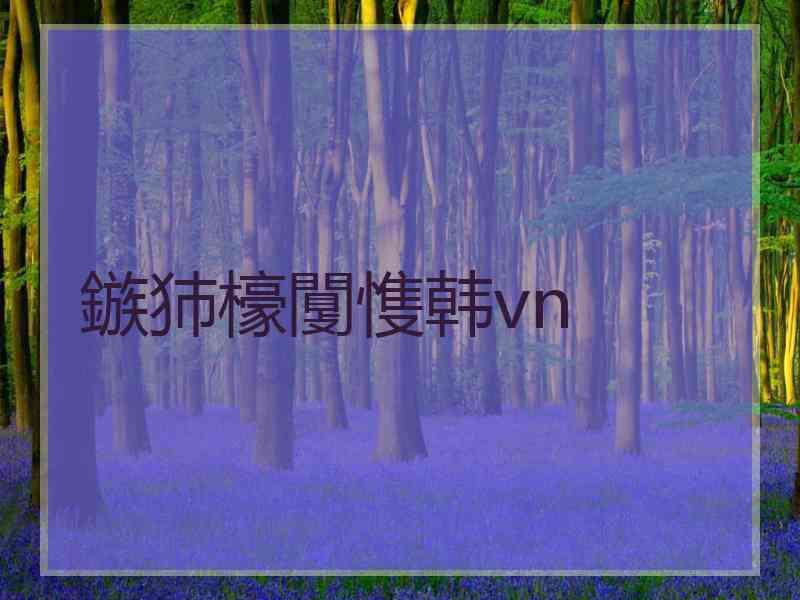 鏃犻檺闅愯韩vn