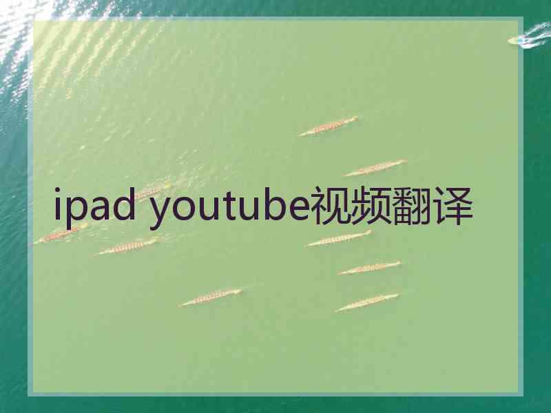 ipad youtube视频翻译