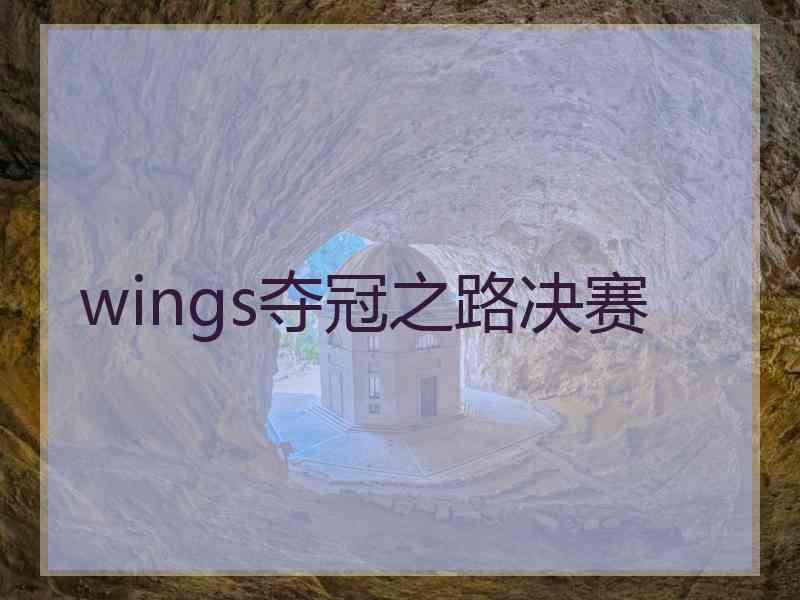 wings夺冠之路决赛