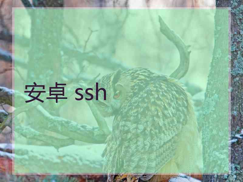 安卓 ssh