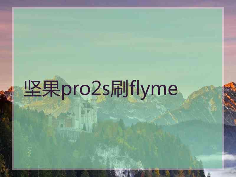 坚果pro2s刷flyme