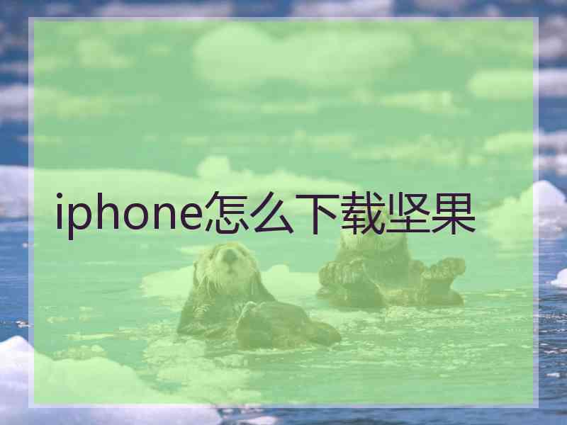 iphone怎么下载坚果