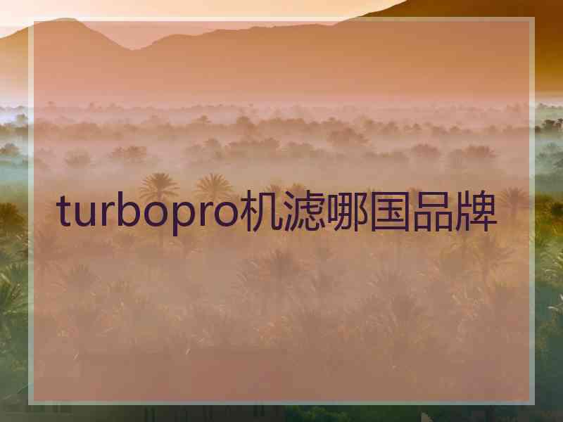 turbopro机滤哪国品牌