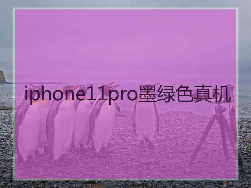 iphone11pro墨绿色真机