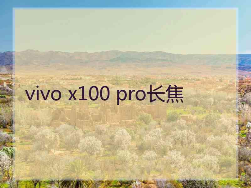 vivo x100 pro长焦