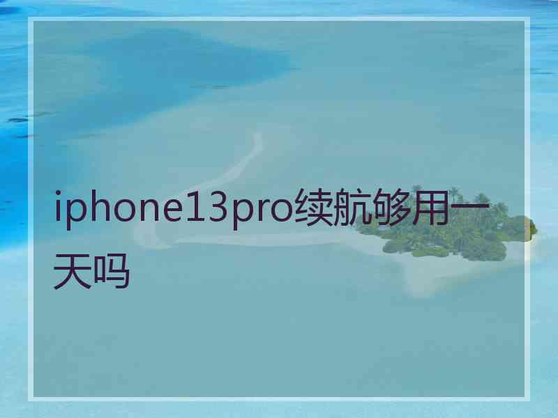 iphone13pro续航够用一天吗