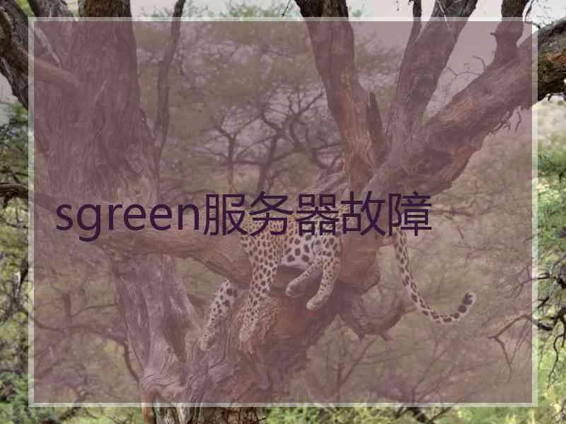 sgreen服务器故障