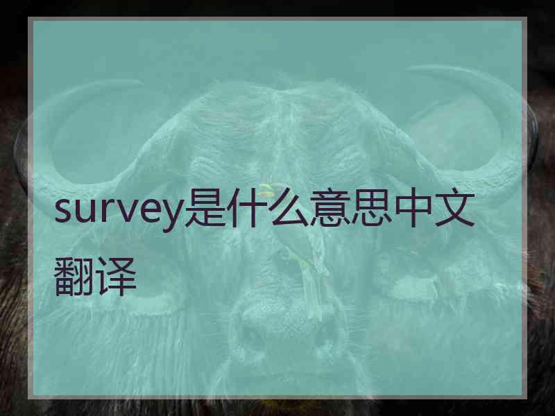 survey是什么意思中文翻译