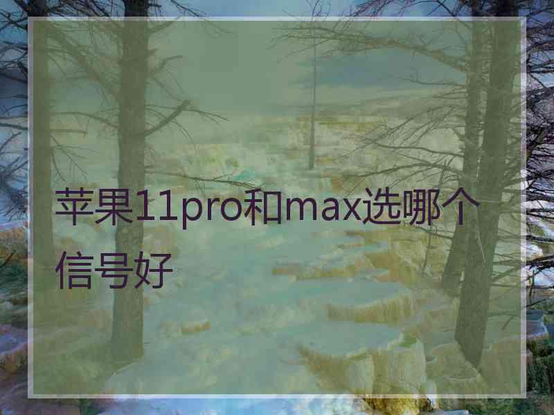 苹果11pro和max选哪个信号好