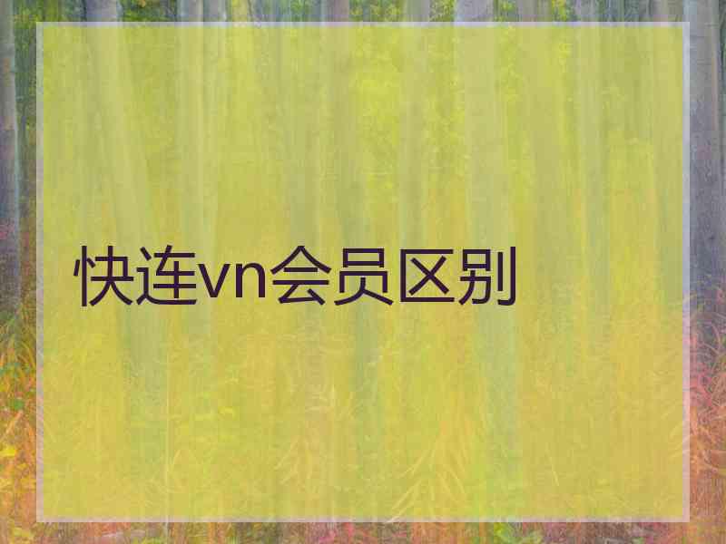 快连vn会员区别