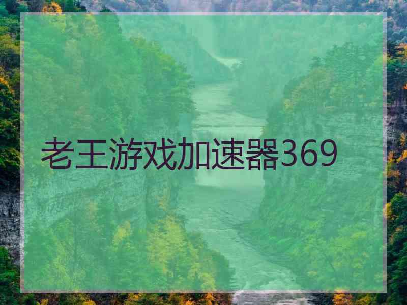 老王游戏加速器369