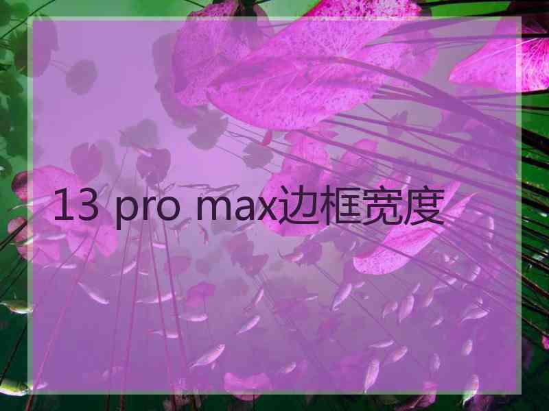 13 pro max边框宽度