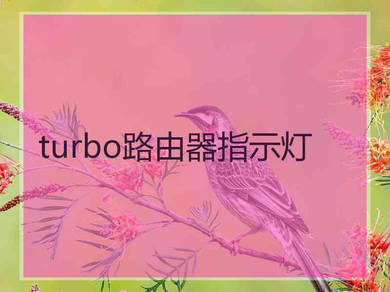 turbo路由器指示灯