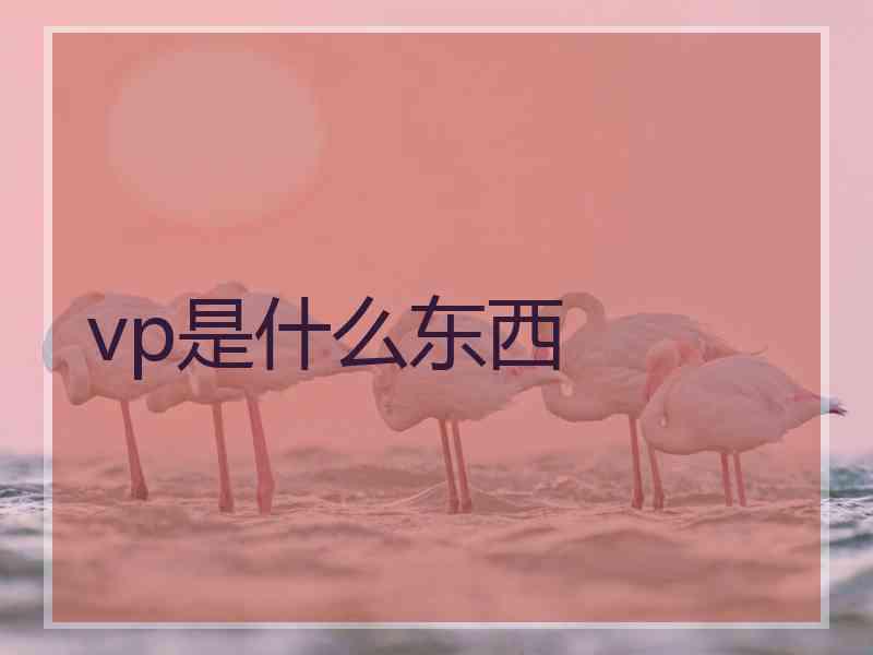 vp是什么东西