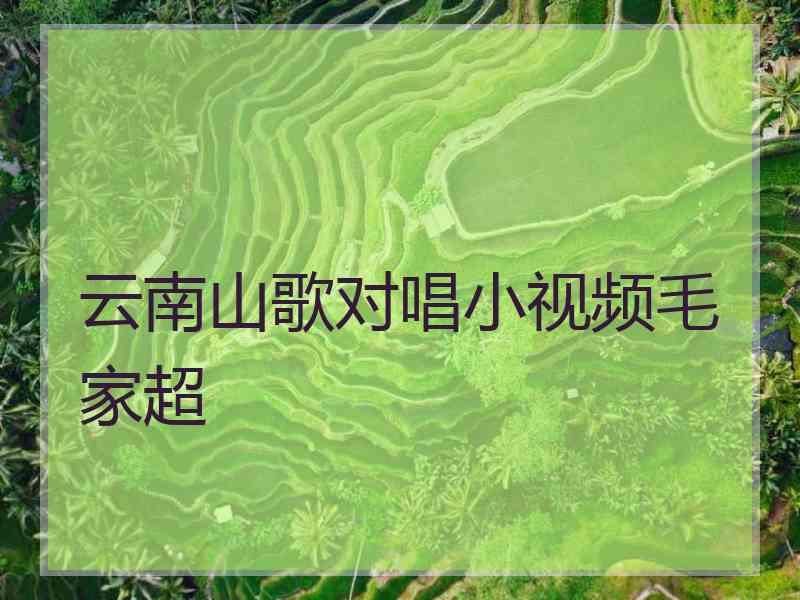 云南山歌对唱小视频毛家超