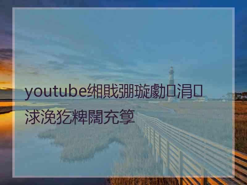 youtube缃戝弸璇勮涓浗浼犵粺闊充箰