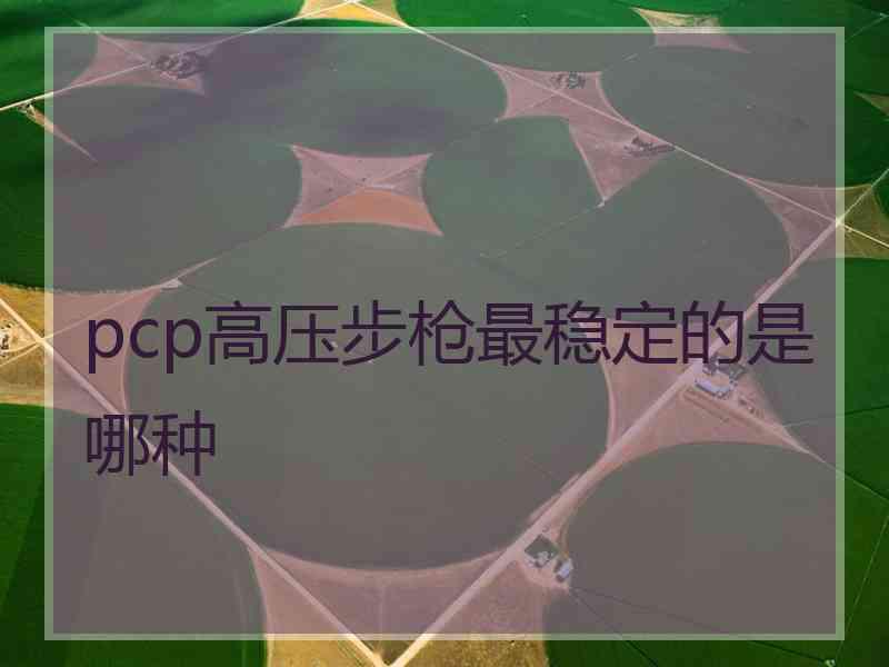 pcp高压步枪最稳定的是哪种