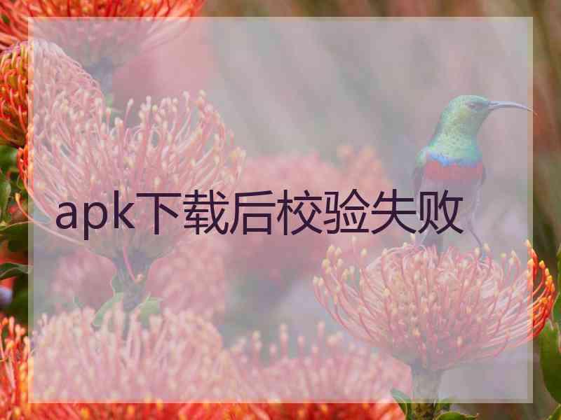 apk下载后校验失败