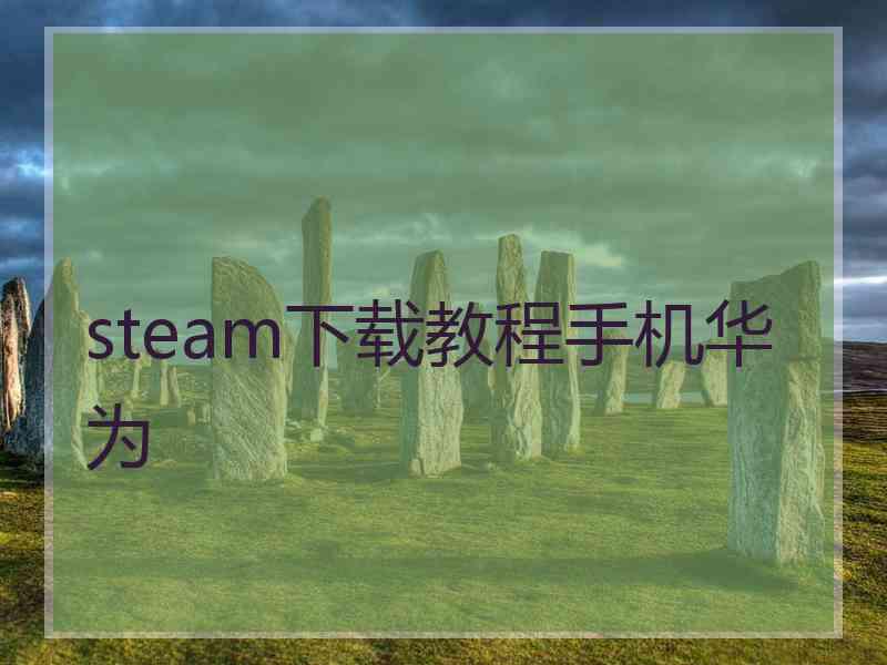 steam下载教程手机华为