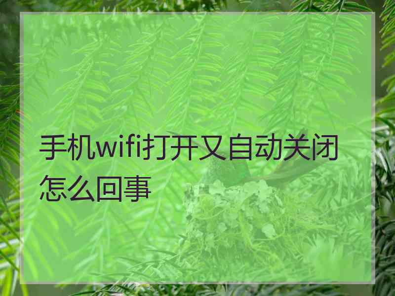 手机wifi打开又自动关闭怎么回事