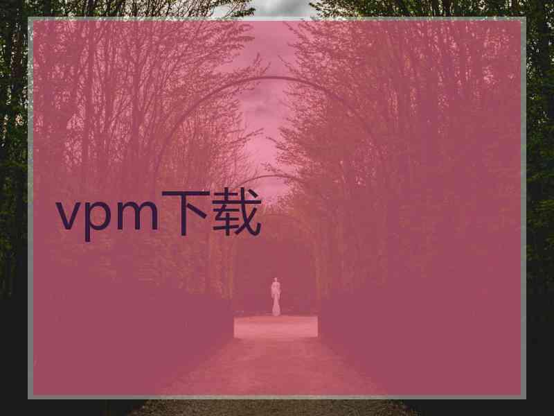 vpm下载