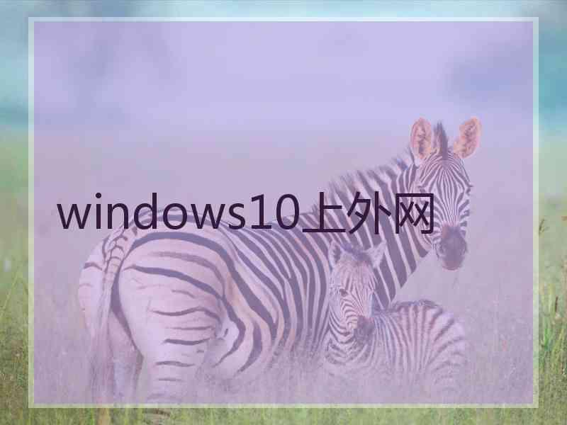 windows10上外网