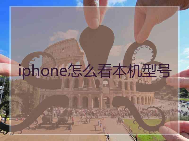 iphone怎么看本机型号