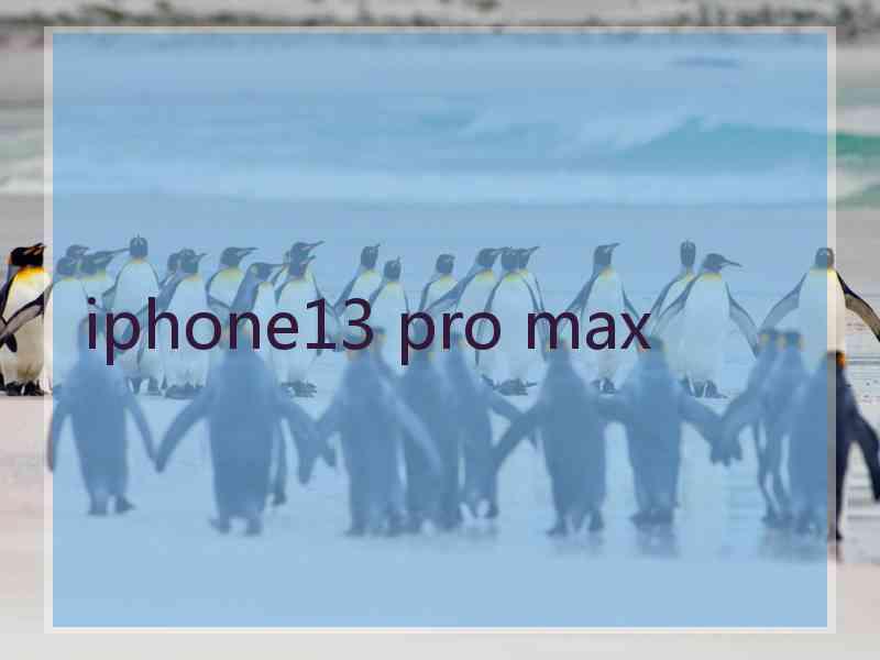 iphone13 pro max