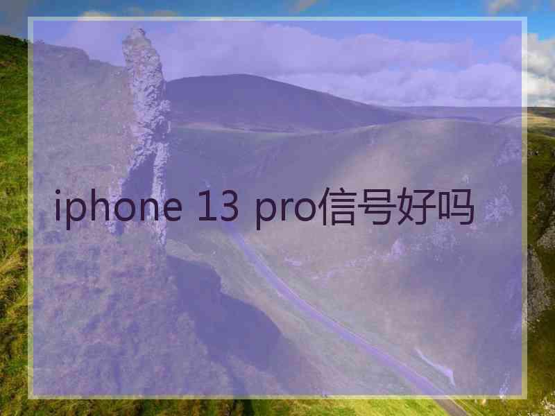 iphone 13 pro信号好吗