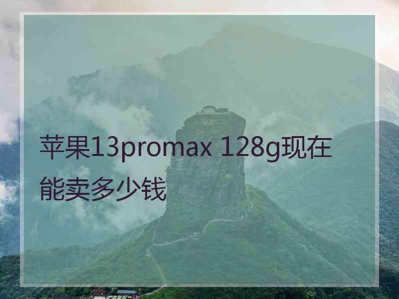 苹果13promax 128g现在能卖多少钱