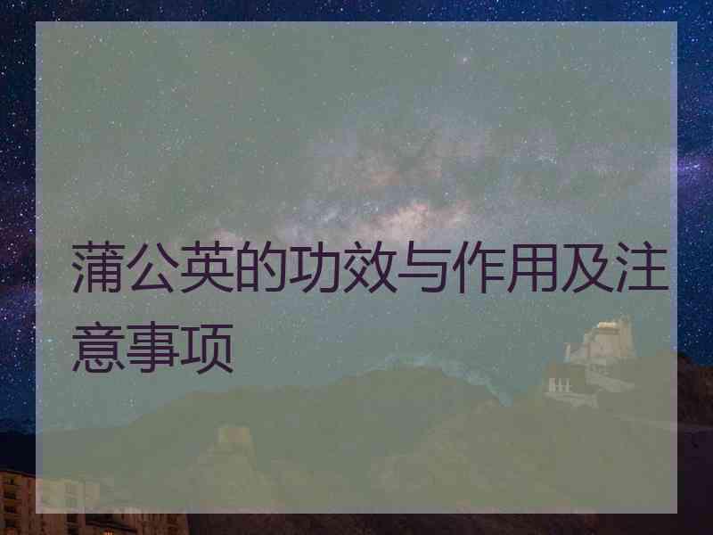 蒲公英的功效与作用及注意事项