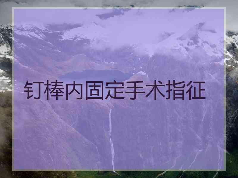 钉棒内固定手术指征