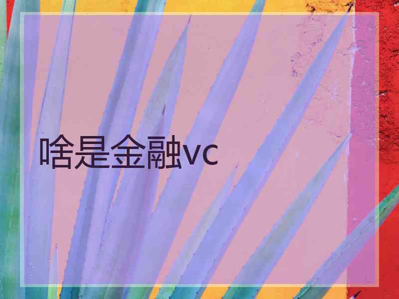 啥是金融vc