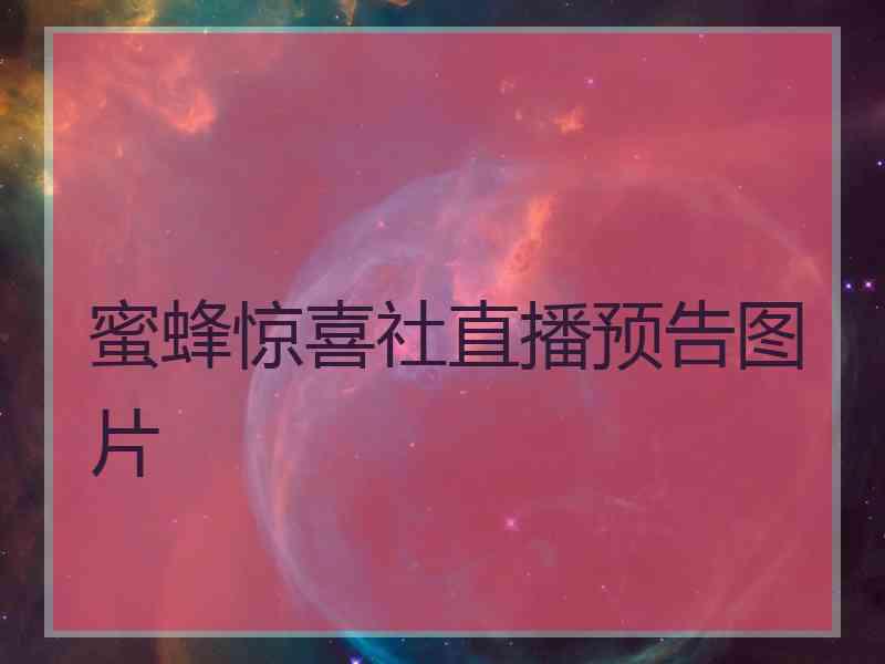 蜜蜂惊喜社直播预告图片