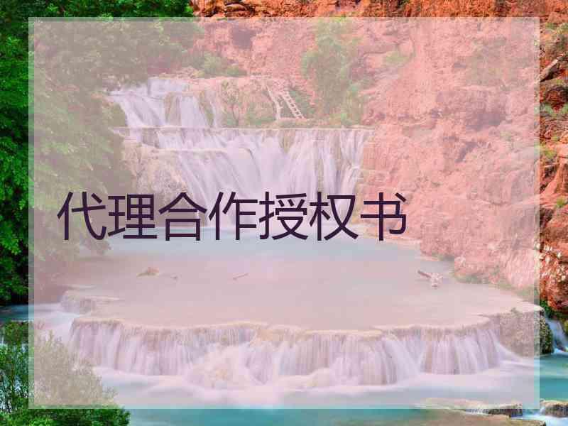 代理合作授权书