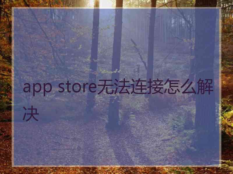 app store无法连接怎么解决