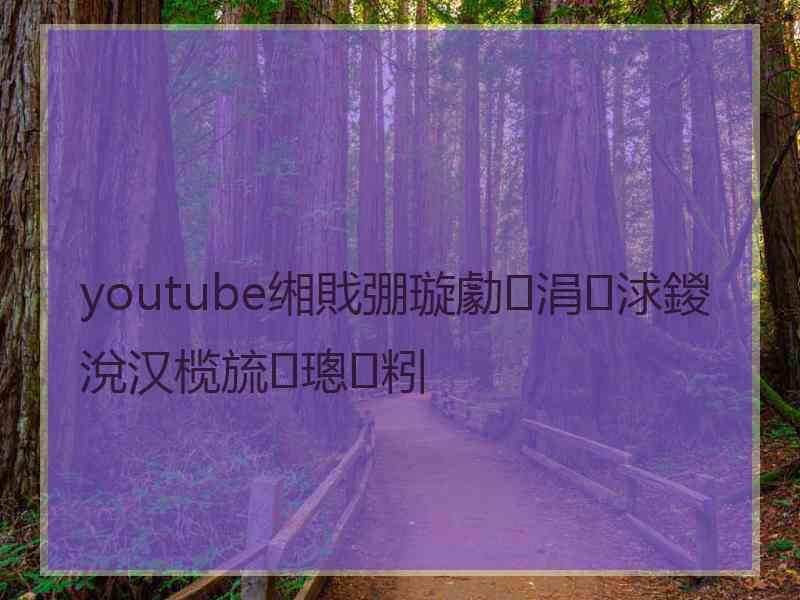 youtube缃戝弸璇勮涓浗鍐涗汉榄旈璁粌