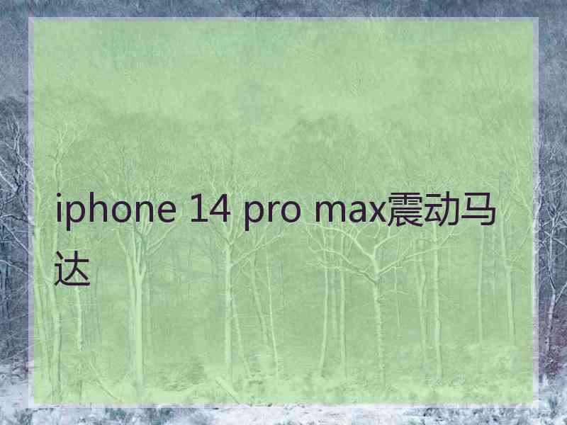 iphone 14 pro max震动马达