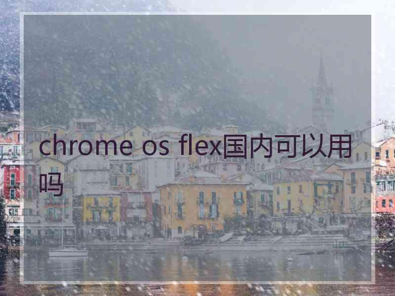 chrome os flex国内可以用吗