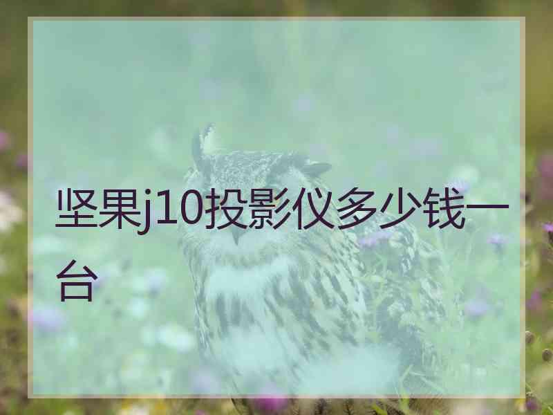 坚果j10投影仪多少钱一台